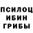 Галлюциногенные грибы GOLDEN TEACHER Ashxen Oganisyan