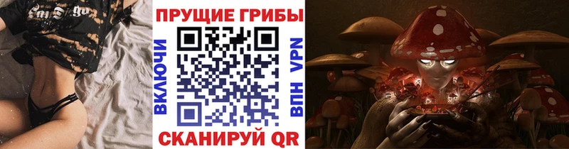 Галлюциногенные грибы Psilocybe Нерехта