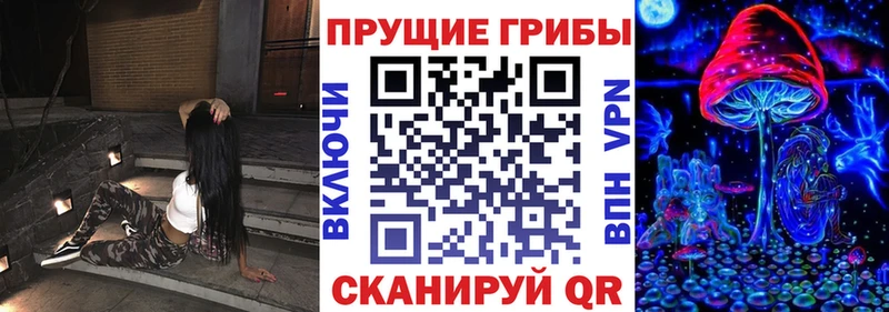 omg зеркало  купить закладку  Нерехта  сайты даркнета какой сайт  Псилоцибиновые грибы GOLDEN TEACHER 